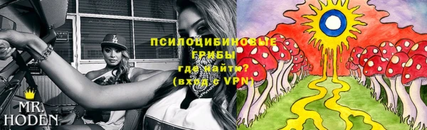 а пвп мука Гусь-Хрустальный