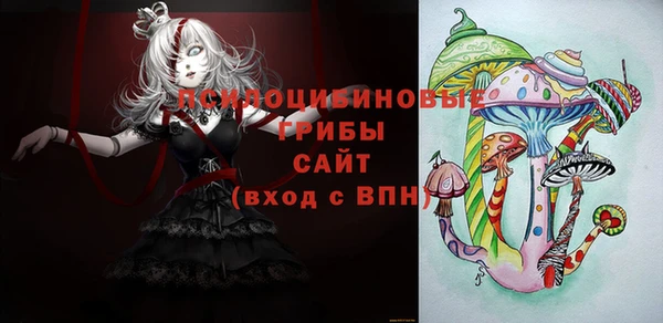 а пвп мука Гусь-Хрустальный