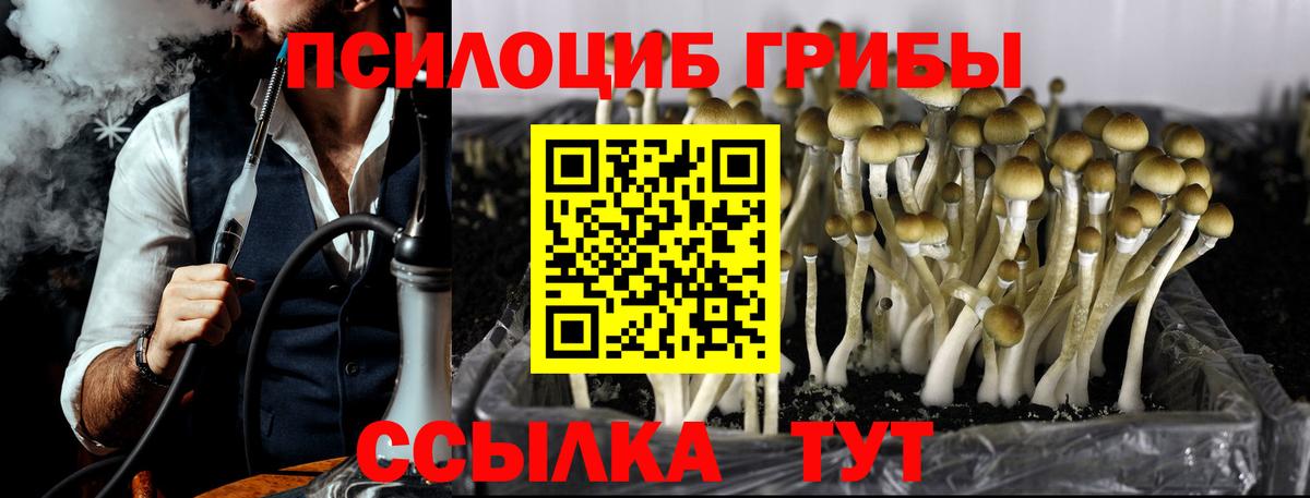 Галлюциногенные грибы MAGIC MUSHROOMS  Канаш 