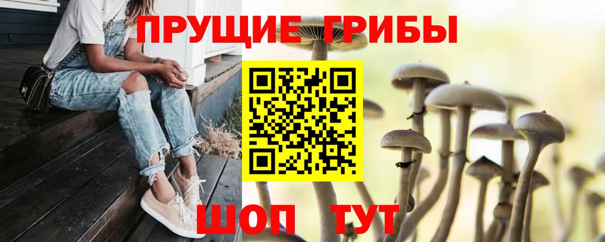 Канаш  Галлюциногенные грибы Cubensis  где купить наркотик  Вход с VPN 